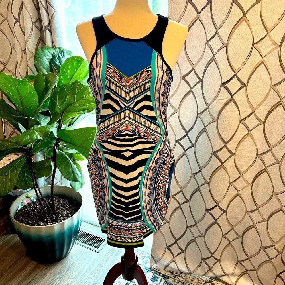 Express Animal Print and Astract Print 95% cotton dress! Size Large